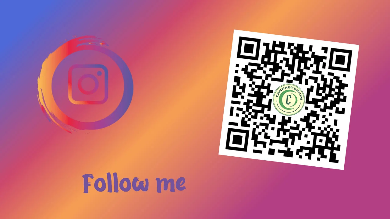 follow me