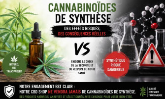 Les cannabinoïdes de synthèse : des substances aux effets préoccupants