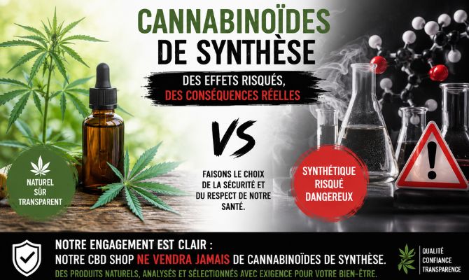 Les cannabinoïdes de synthèse : des substances aux effets préoccupants Les cannabinoïdes de synthèse : des substances aux effets préoccupants