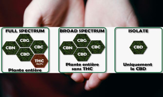 Full, Broad Spectrum et Isolat !