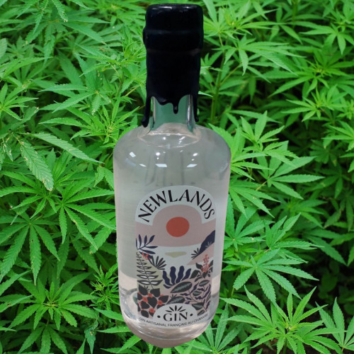 Gin - Newlands 