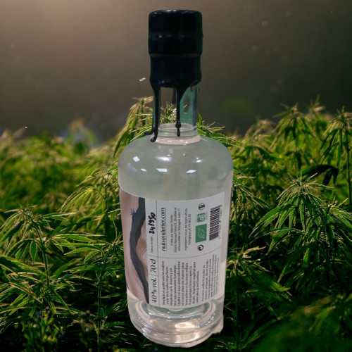 Vodka - Stupéfiante