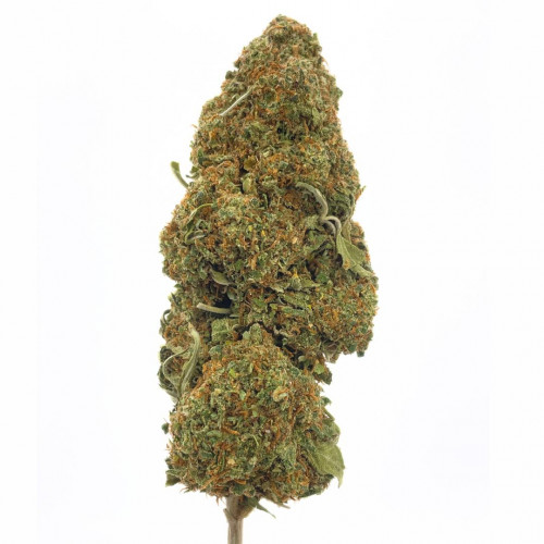 Mandarine Kush