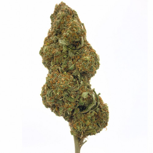 Mandarine Kush