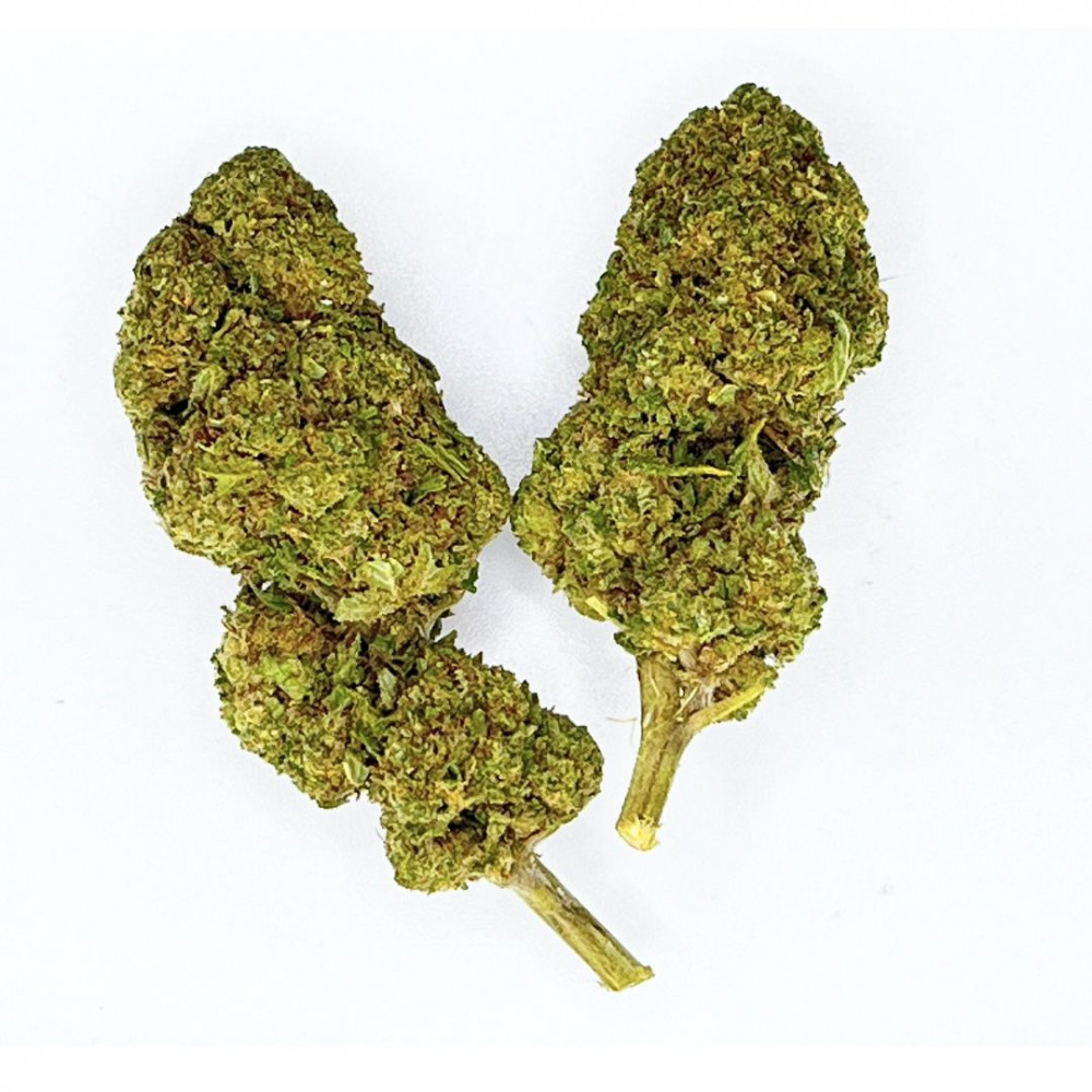 Slush Mint Slush Mint