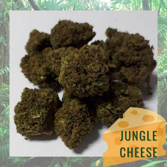 Jungle Cheese